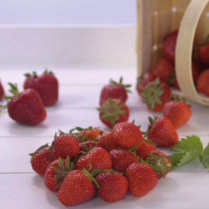 Erdbeeren Camarossa