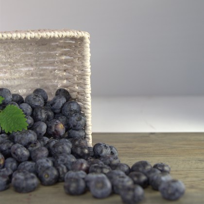 Wild Heidelbeeren