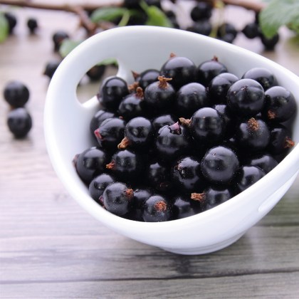 Johannisbeeren schwarz