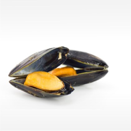 Miesmuscheln in der Schale 50/65
