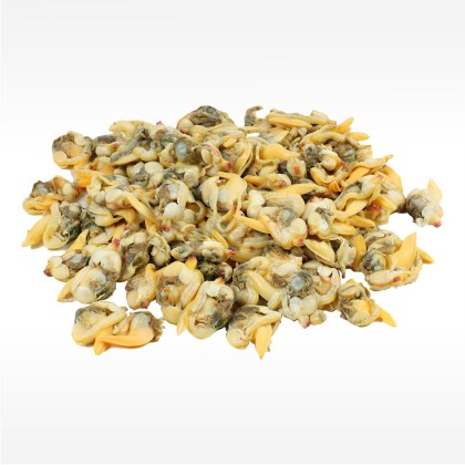 Venusmuschelfleisch (Vongole)