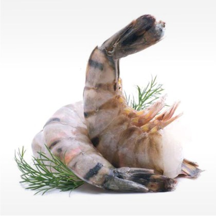 Freshwater Garnelen mit Schale, easy peel, U5
