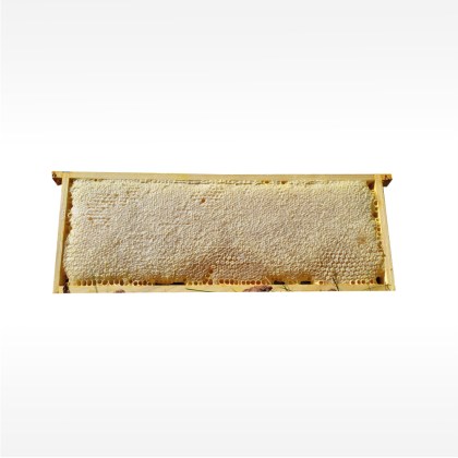 Bienenhonig in der Wabe